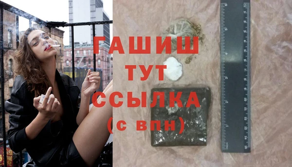 соль ск Тайга